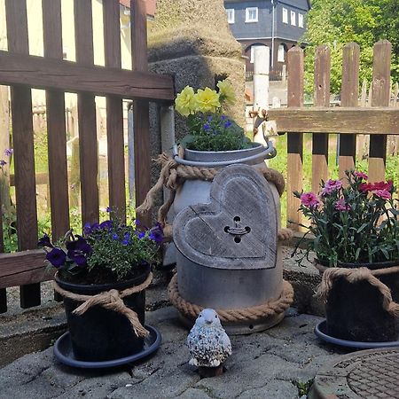 Haus Emma, Im Herzen Der Oberlausitz Kottmar ภายนอก รูปภาพ